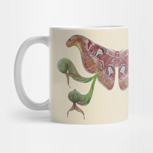 Attacus atlas Moth and Darlingtonia californica Mug